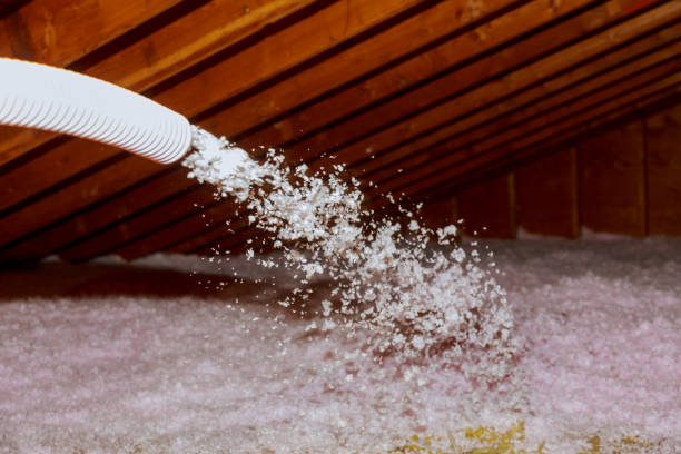 Best Spray Foam Insulation in Sulphur Springs, AR