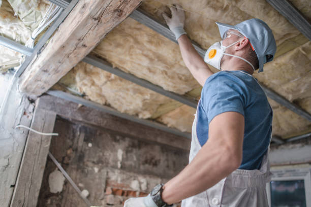 Best Geographic-Specific Insulation Services in Sulphur Springs, AR