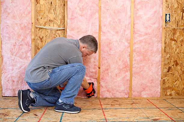 Best Spray Foam Insulation in Sulphur Springs, AR