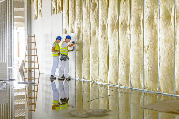 Types of Insulation We Offer in Sulphur Springs, AR